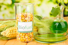 Twenty biofuel availability